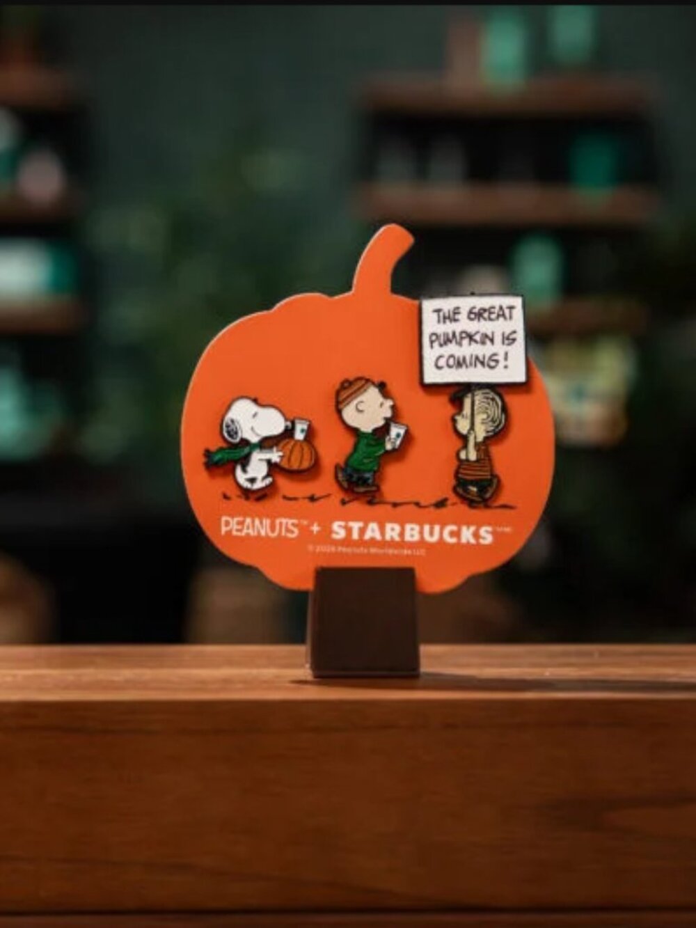 Deadstock Starbucks x Peanuts Snoopy 2026 Enamel Pin Set Charlie Brown IN HAND